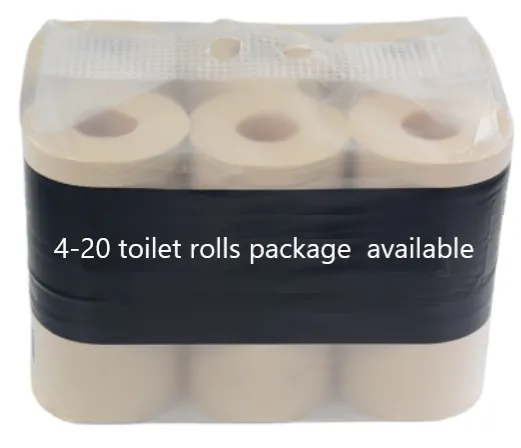 トイレットペーパー生産ラインで 製造業に革命を起こす 2